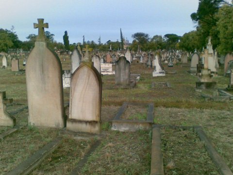 rookwood cemetery
